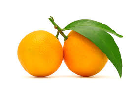 Rich Mountain Farms, Georgia Sweets, Satsumas